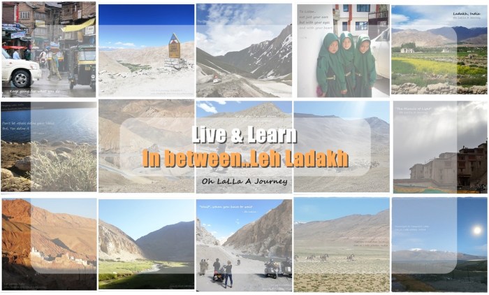 Live&Learn_In Between_LehLadakh