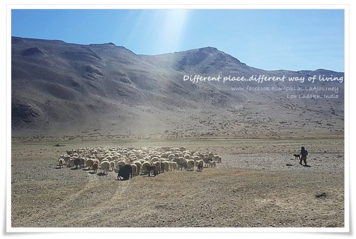 Different place..different way of living ต่างที่ ต่างถิ่น..ต่างวิถึ