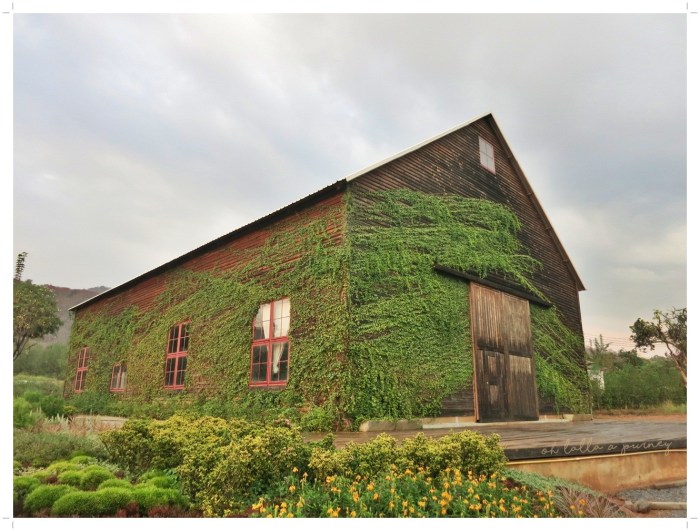 The Birders Lodge_023