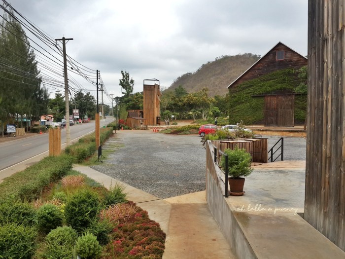 The Birders Lodge cafe_013