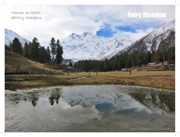 ohlalla_pk_fairymeadow