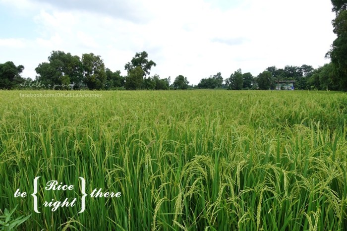 ohlallaajourney-arthittara-008