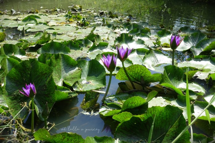 ohlallaajourney-arthittara-043