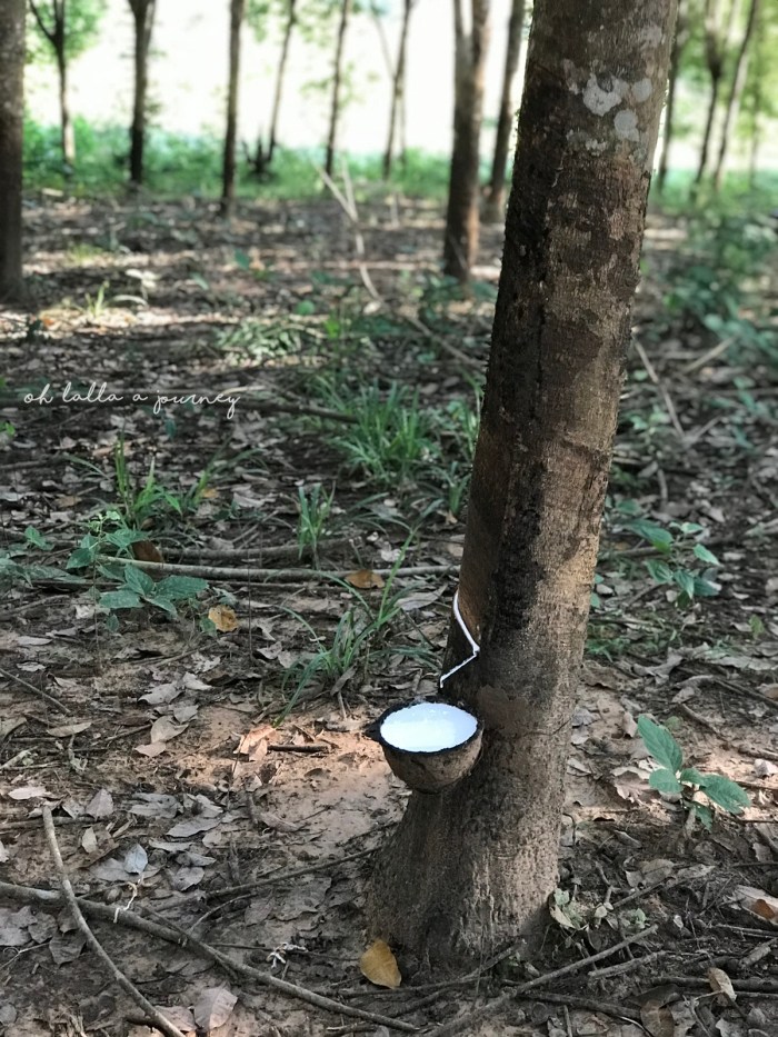 Pha Pok Lon_22_IMG_E0844