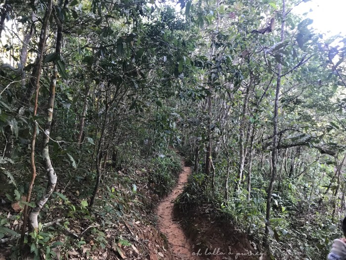 Pha Pok Lon_25_IMG_0786_ผาโปกโล้น