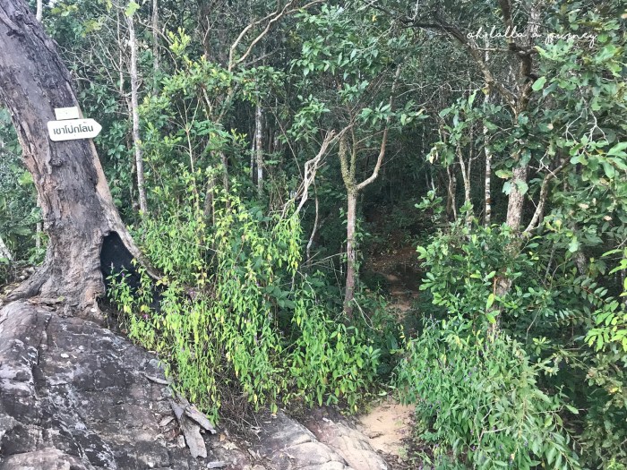 Pha Pok Lon_26_IMG_0791_ผาโปกโล้น