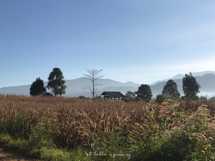 Pha Pok Lon_30_IMG_0856