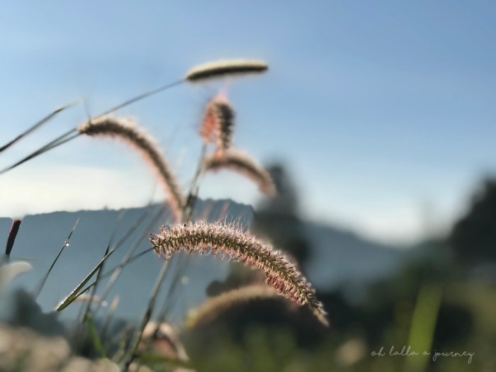 Ohjourney นครชุม 012