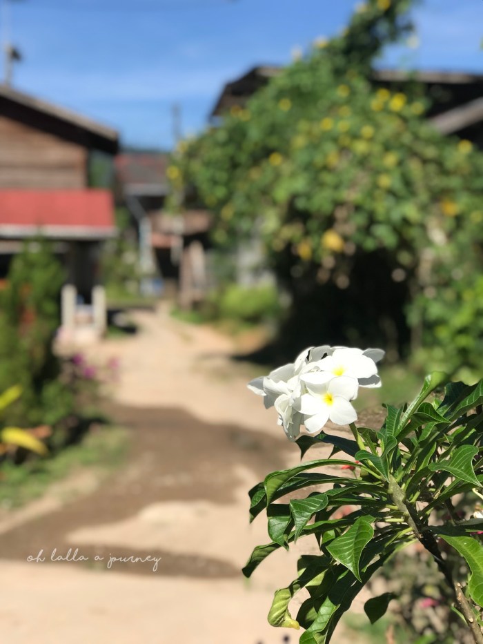 Ohjourney นครชุม 020