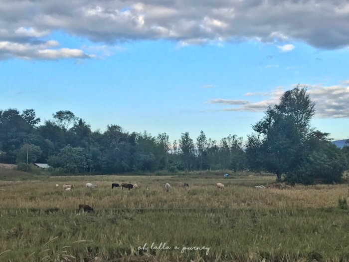 Ohjourney นครชุม 024