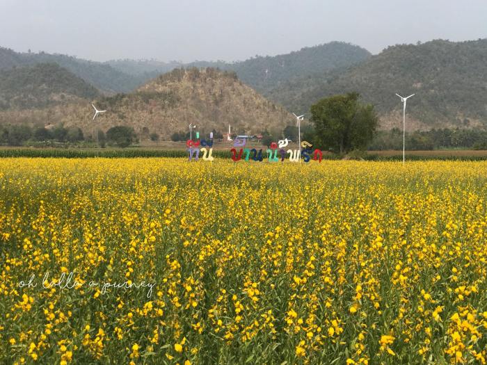 ทุ่งดอกปอเทือง นครไทย Ohlalla_004