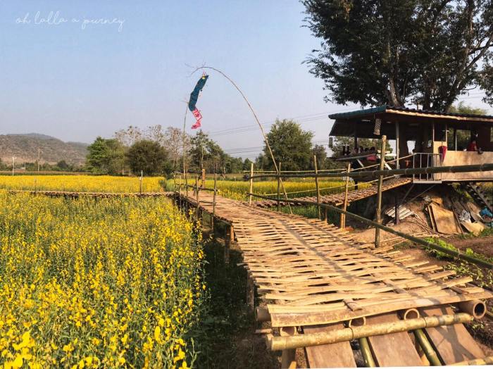 ทุ่งดอกปอเทือง นครไทย Ohlalla_018