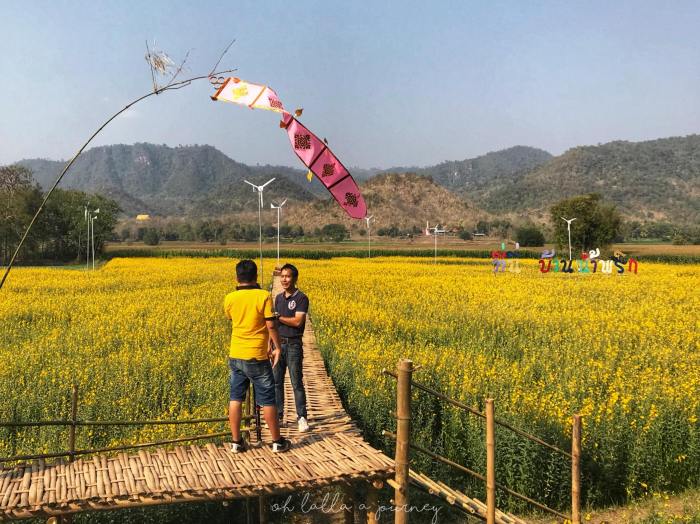 ทุ่งดอกปอเทือง นครไทย Ohlalla_019